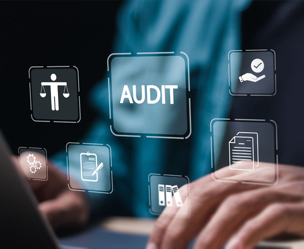 Internal Audits & Assessments